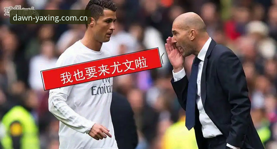 法比奥-米雷蒂转会佛罗伦萨：一位尤文低薪高能球员的全面解析