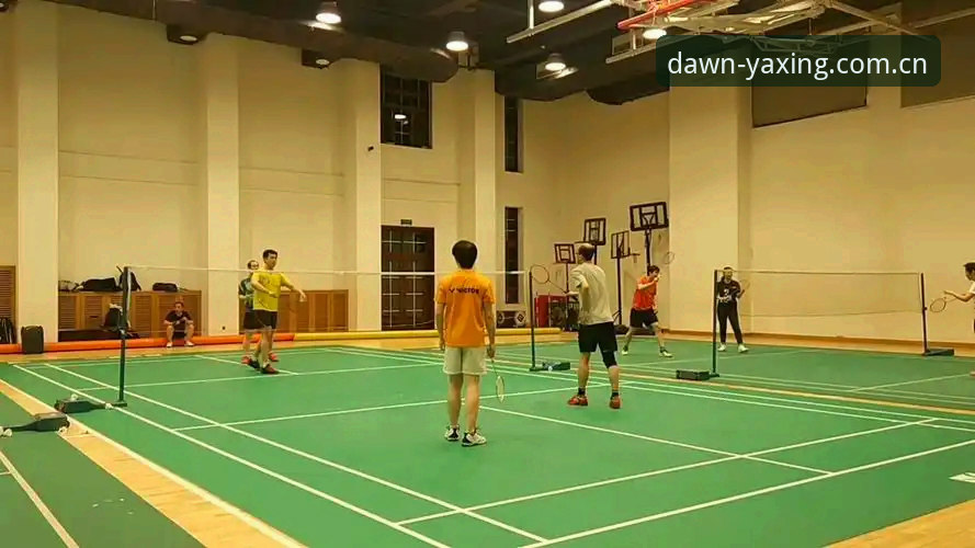 亚星体育官网实用指南：亚星平台功能详解与高效操作必备知识